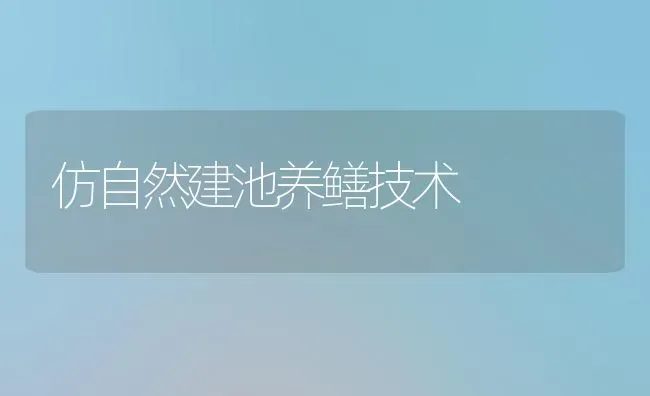 仿自然建池养鳝技术 | 养殖技术大全