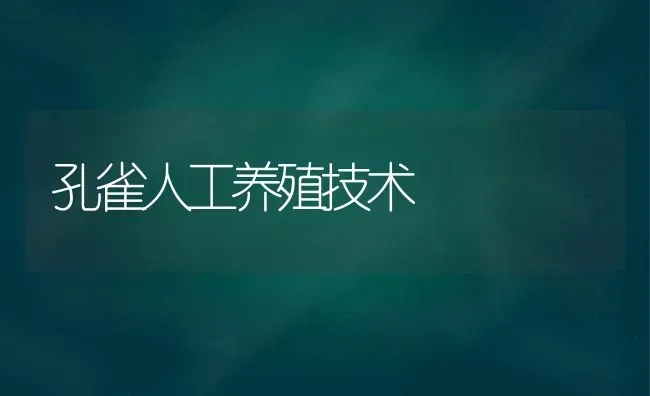 孔雀人工养殖技术 | 养殖技术大全