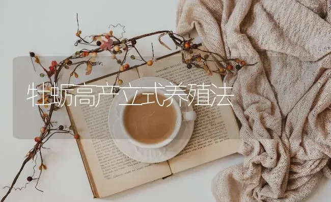 牡蛎高产立式养殖法 | 养殖知识
