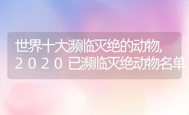 世界十大濒临灭绝的动物,2020已濒临灭绝动物名单 | 养殖学堂