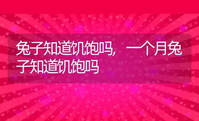 兔子知道饥饱吗,一个月兔子知道饥饱吗 | 养殖资料