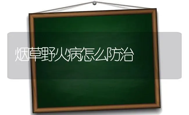 烟草野火病怎么防治 | 养殖技术大全