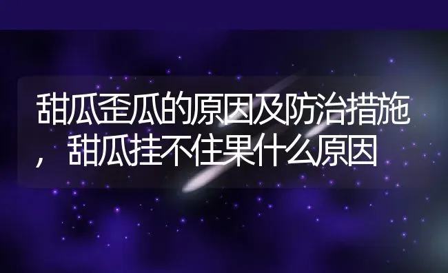 甜瓜歪瓜的原因及防治措施,甜瓜挂不住果什么原因 | 养殖学堂