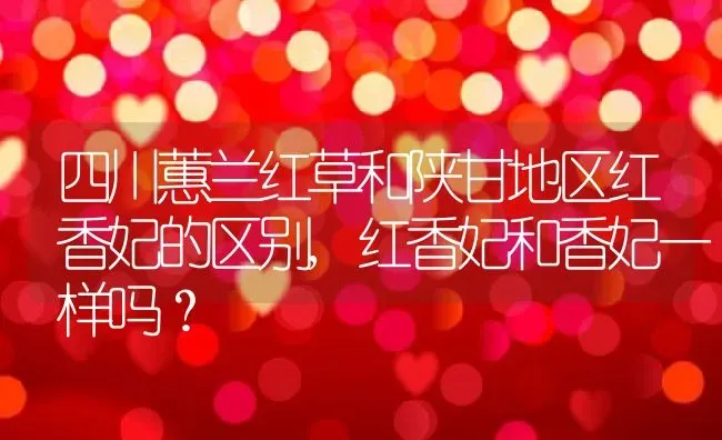 四川蕙兰红草和陕甘地区红香妃的区别,红香妃和香妃一样吗？ | 养殖科普