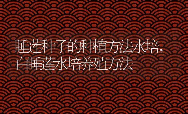 睡莲种子的种植方法水培,白睡莲水培养殖方法 | 养殖学堂