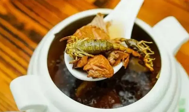 蝎子泡酒的功效与作用介绍 | 生活常识