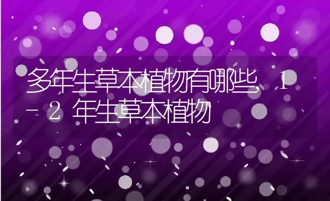 多年生草本植物有哪些,1-2年生草本植物 | 养殖学堂