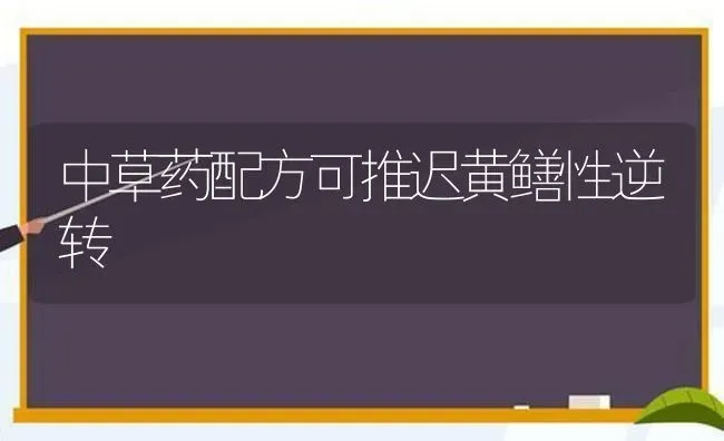 中草药配方可推迟黄鳝性逆转 | 养殖知识