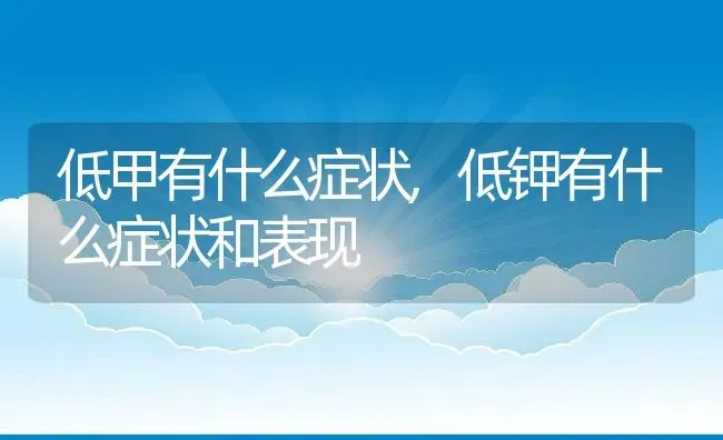 低甲有什么症状,低钾有什么症状和表现 | 养殖资料