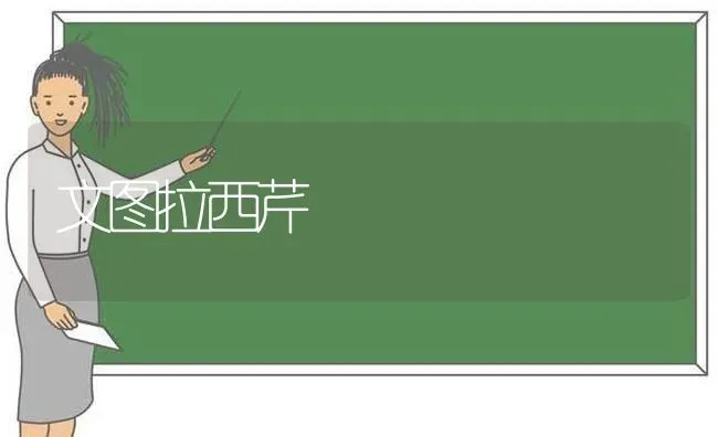 文图拉西芹 | 养殖知识
