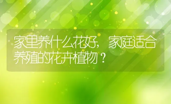 家里养什么花好,家庭适合养殖的花卉植物？ | 养殖学堂