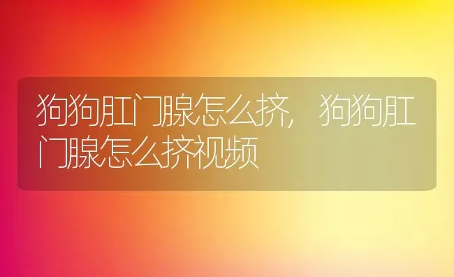 狗狗肛门腺怎么挤,狗狗肛门腺怎么挤视频 | 养殖资料