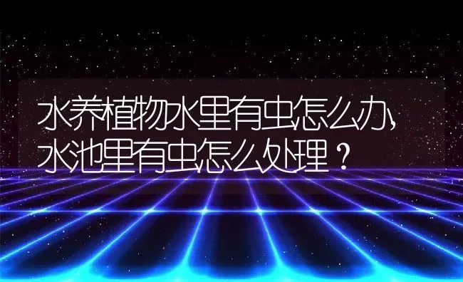 水养植物水里有虫怎么办,水池里有虫怎么处理？ | 养殖科普