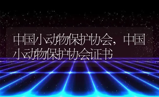 中国小动物保护协会,中国小动物保护协会证书 | 养殖资料