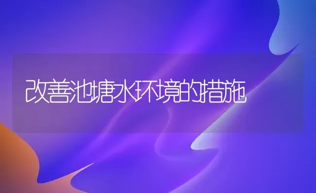 改善池塘水环境的措施 | 养殖技术大全