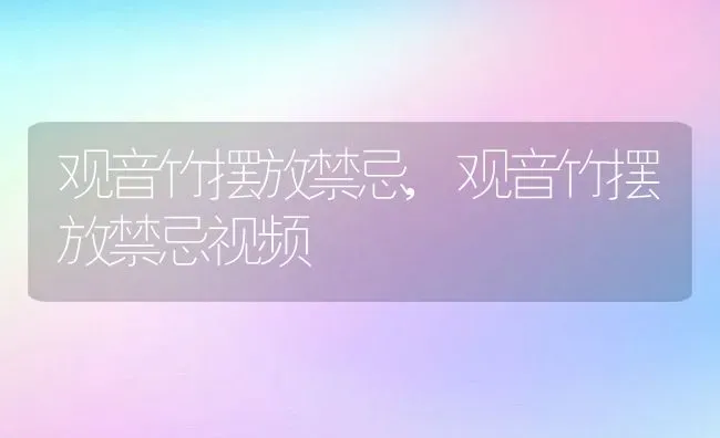 观音竹摆放禁忌,观音竹摆放禁忌视频 | 养殖资料