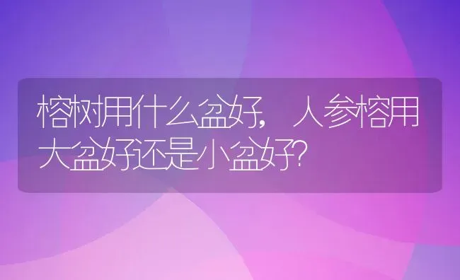 榕树用什么盆好,人参榕用大盆好还是小盆好？ | 养殖科普