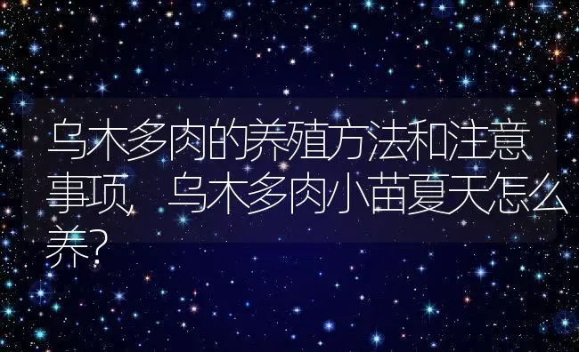 乌木多肉的养殖方法和注意事项,乌木多肉小苗夏天怎么养？ | 养殖科普