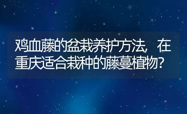 鸡血藤的盆栽养护方法,在重庆适合栽种的藤蔓植物？ | 养殖科普