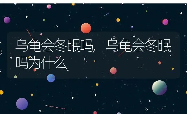 乌龟会冬眠吗,乌龟会冬眠吗为什么 | 养殖科普