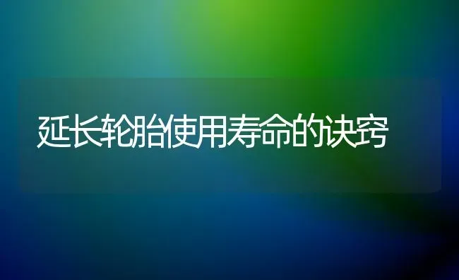 延长轮胎使用寿命的诀窍 | 养殖技术大全