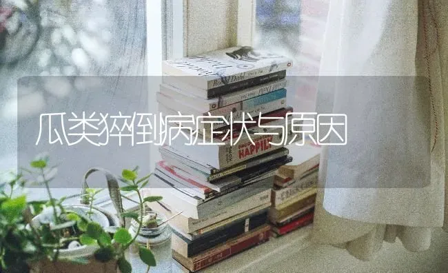 瓜类猝倒病症状与原因 | 养殖技术大全
