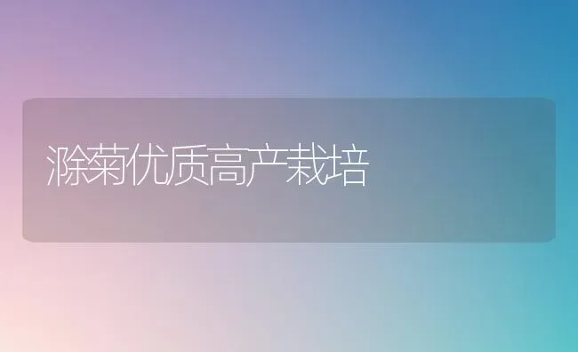 瓜实蝇咋消灭 | 养殖技术大全