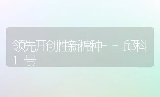 领先开创性新棉种--邱科1号 | 养殖知识