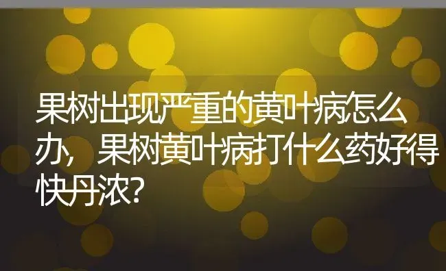 果树出现严重的黄叶病怎么办,果树黄叶病打什么药好得快丹浓？ | 养殖科普