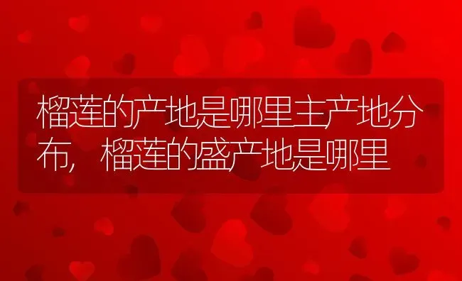 榴莲的产地是哪里主产地分布,榴莲的盛产地是哪里 | 养殖学堂