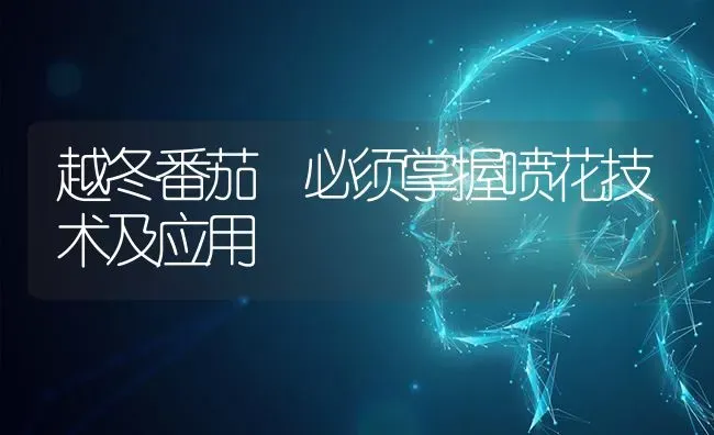 越冬番茄 必须掌握喷花技术及应用 | 养殖技术大全
