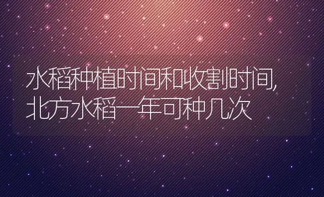 水稻种植时间和收割时间,北方水稻一年可种几次 | 养殖学堂