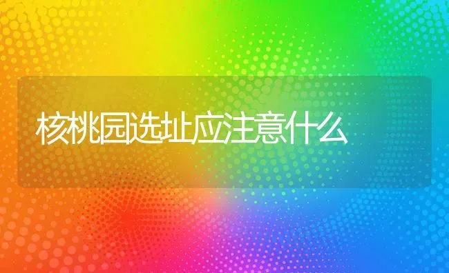 核桃园选址应注意什么 | 养殖技术大全