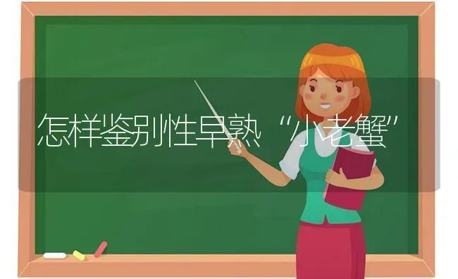 怎样鉴别性早熟“小老蟹” | 养殖知识