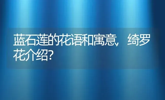 蓝石莲的花语和寓意,绮罗花介绍？ | 养殖科普