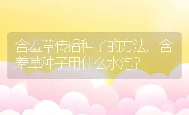 含羞草传播种子的方法,含羞草种子用什么水泡？ | 养殖科普