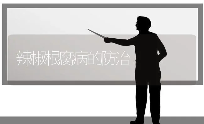 辣椒根腐病的防治 | 养殖知识