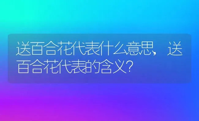 送百合花代表什么意思,送百合花代表的含义？ | 养殖学堂