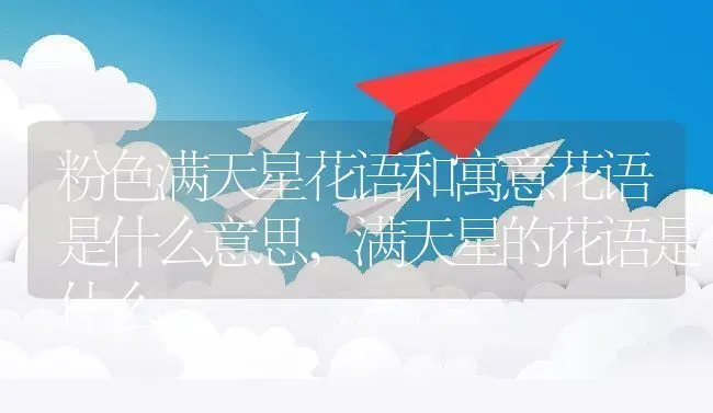 粉色满天星花语和寓意花语是什么意思,满天星的花语是什么 | 养殖学堂