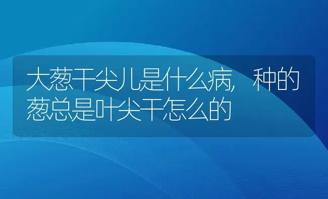 大葱干尖儿是什么病,种的葱总是叶尖干怎么的 | 养殖学堂