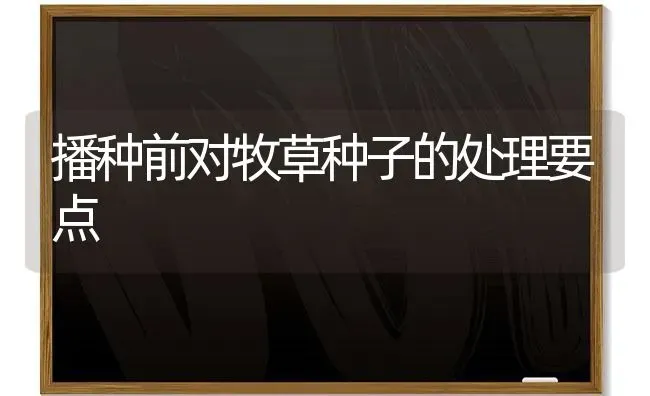 播种前对牧草种子的处理要点 | 养殖知识