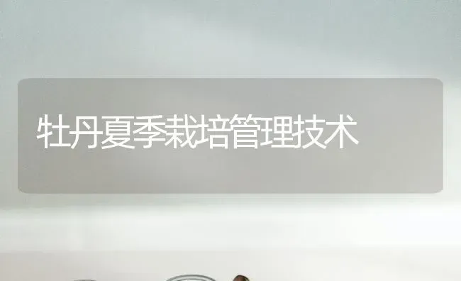 牡丹夏季栽培管理技术 | 养殖知识