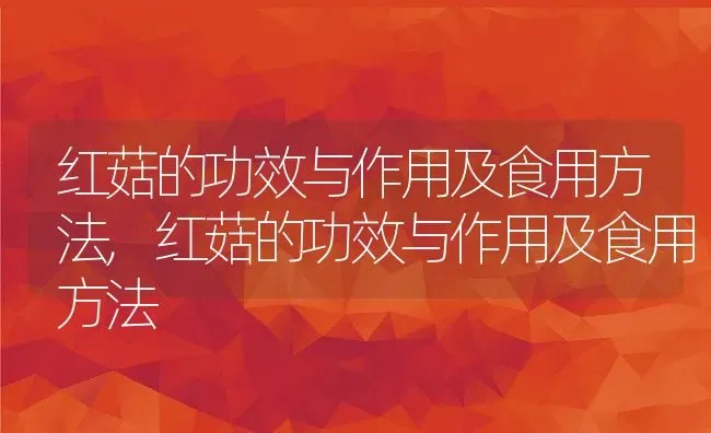 红菇的功效与作用及食用方法,红菇的功效与作用及食用方法 | 养殖科普