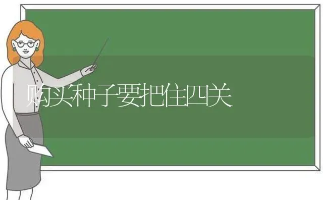 购买种子要把住四关 | 养殖技术大全