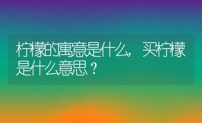 柠檬的寓意是什么,买柠檬是什么意思？ | 养殖学堂