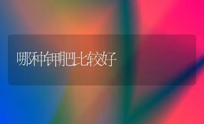 哪种钾肥比较好 | 养殖技术大全