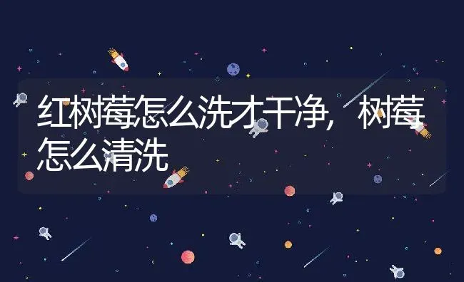 红树莓怎么洗才干净,树莓怎么清洗 | 养殖学堂