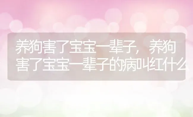 养狗害了宝宝一辈子,养狗害了宝宝一辈子的病叫红什么 | 养殖资料