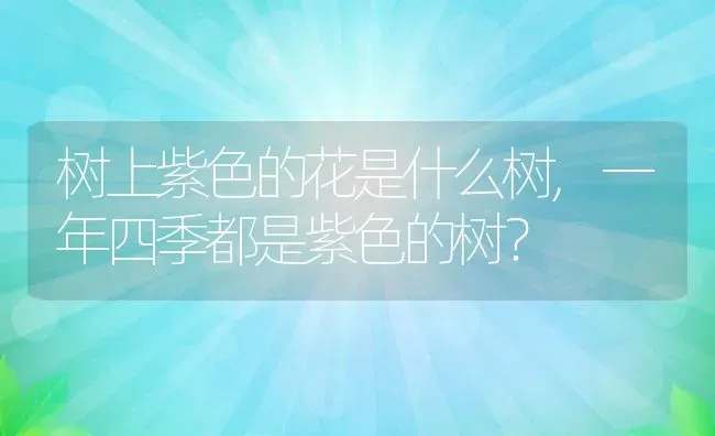 树上紫色的花是什么树,一年四季都是紫色的树？ | 养殖科普