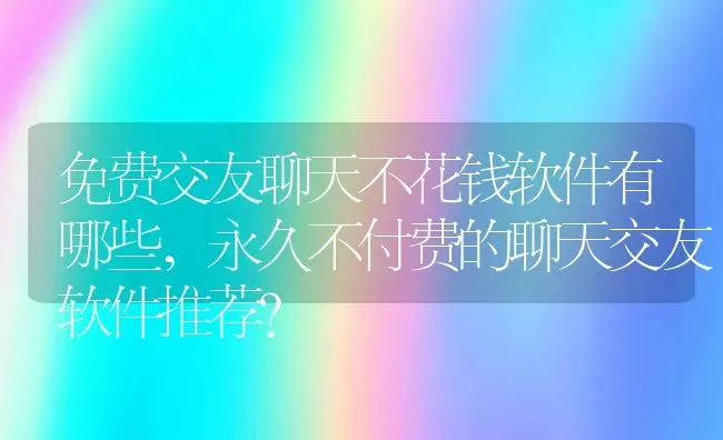 免费交友聊天不花钱软件有哪些,永久不付费的聊天交友软件推荐？ | 养殖学堂
